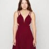 Milly Strap Skater - Cocktail Dress / Party Dress
