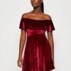 Wal G Stacey Skater - Cocktail Dress / Party Dress - Wine